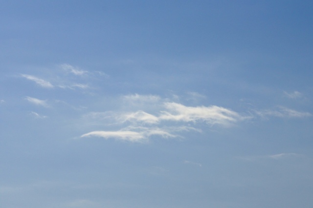 2月19日の朝の雲  1.JPG