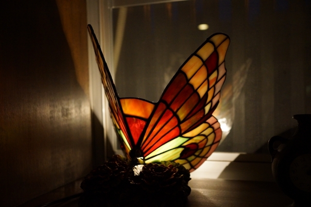 蝶のステンドグラス.jpg