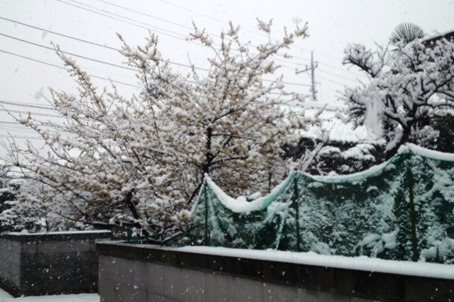 雪景色3.JPG